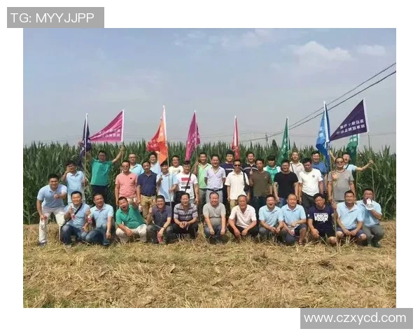 汉堡体育俱乐部：重塑辉煌之路与未来发展战略探讨